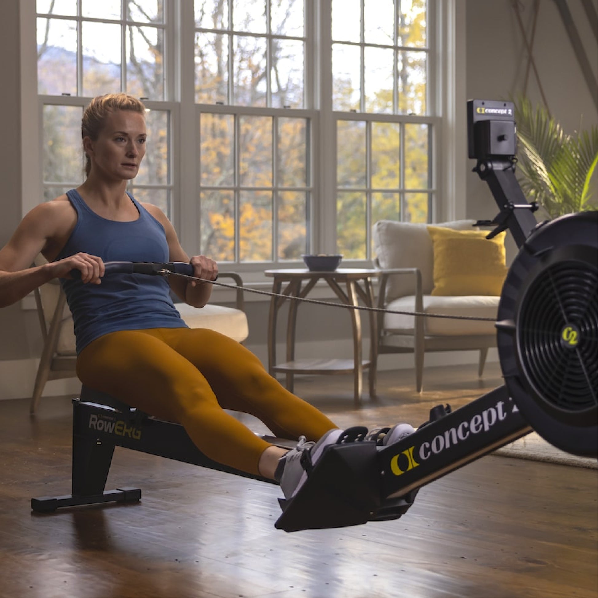 Concept2 RowErg Rowing Machine - SF Healthtech
