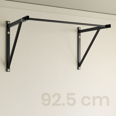 SF Wall Mounted Pull Up Bar