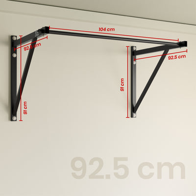 SF Wall Mounted Pull Up Bar