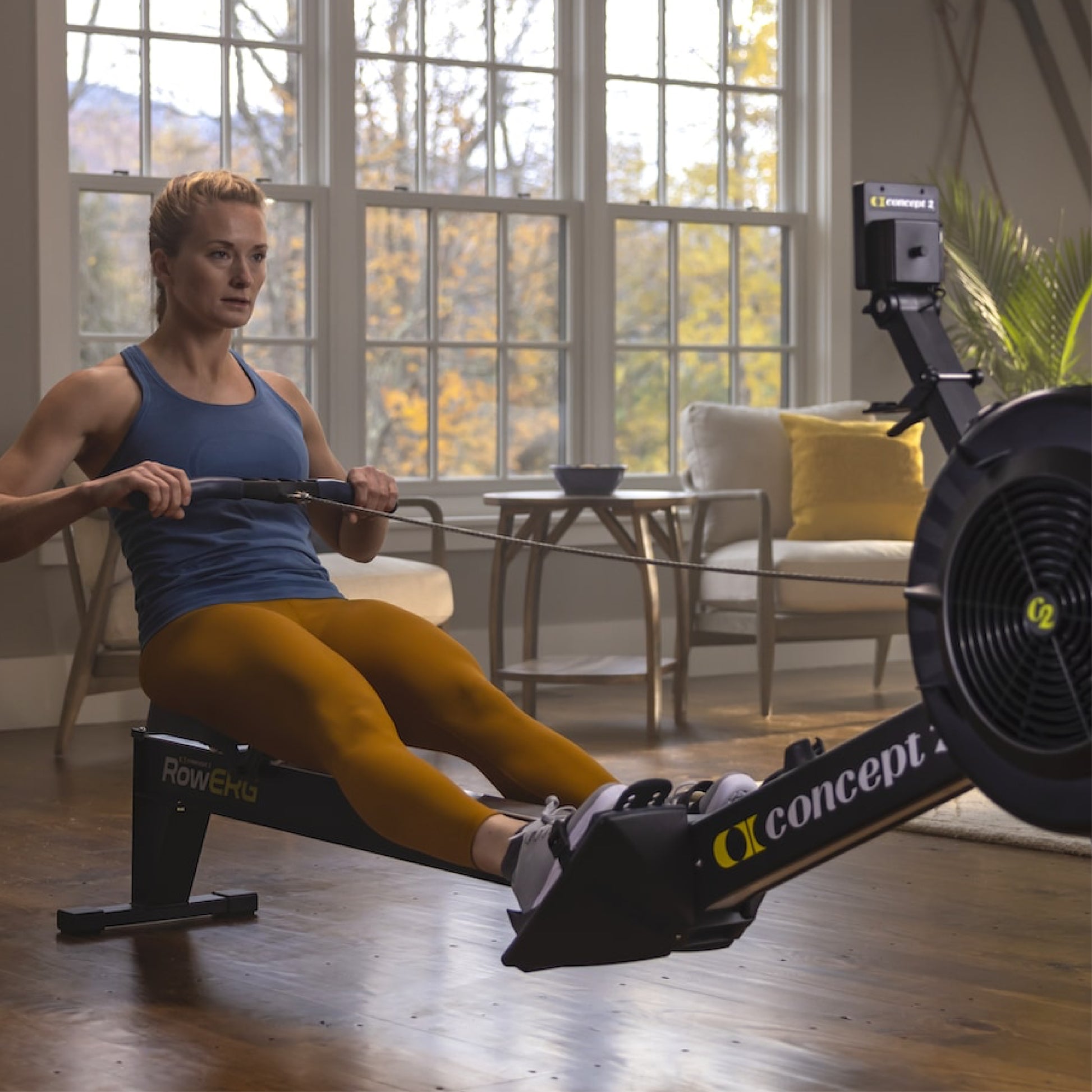 Concept2 RowErg Rowing Machine - SF Healthtech
