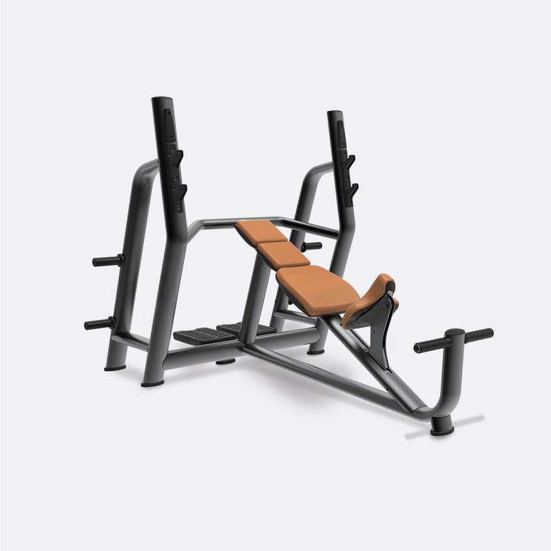 Olympic Incline Bench (with plate storage) – SF HealthTech