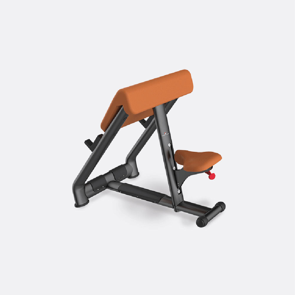 adjustable bicep preacher curl bench